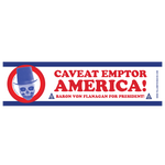 BVF For President Bumper Sticker & Pin Set