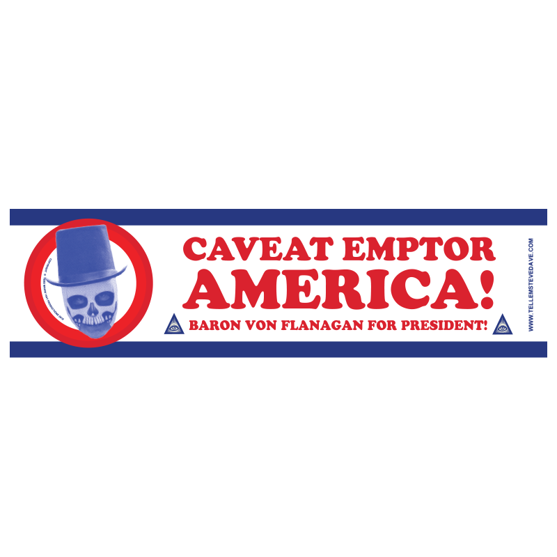 BVF For President Bumper Sticker & Pin Set