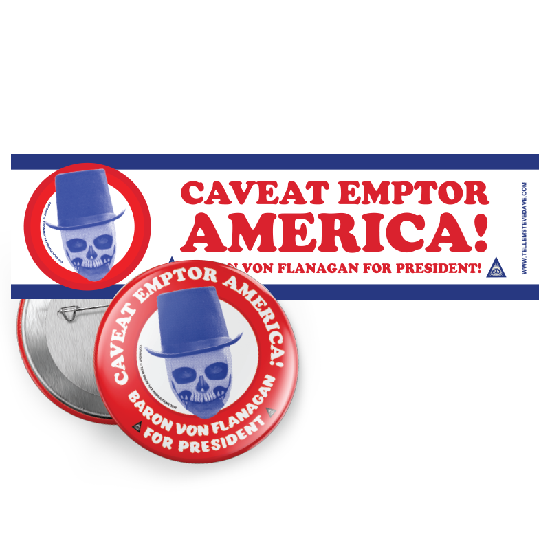 BVF For President Bumper Sticker & Pin Set